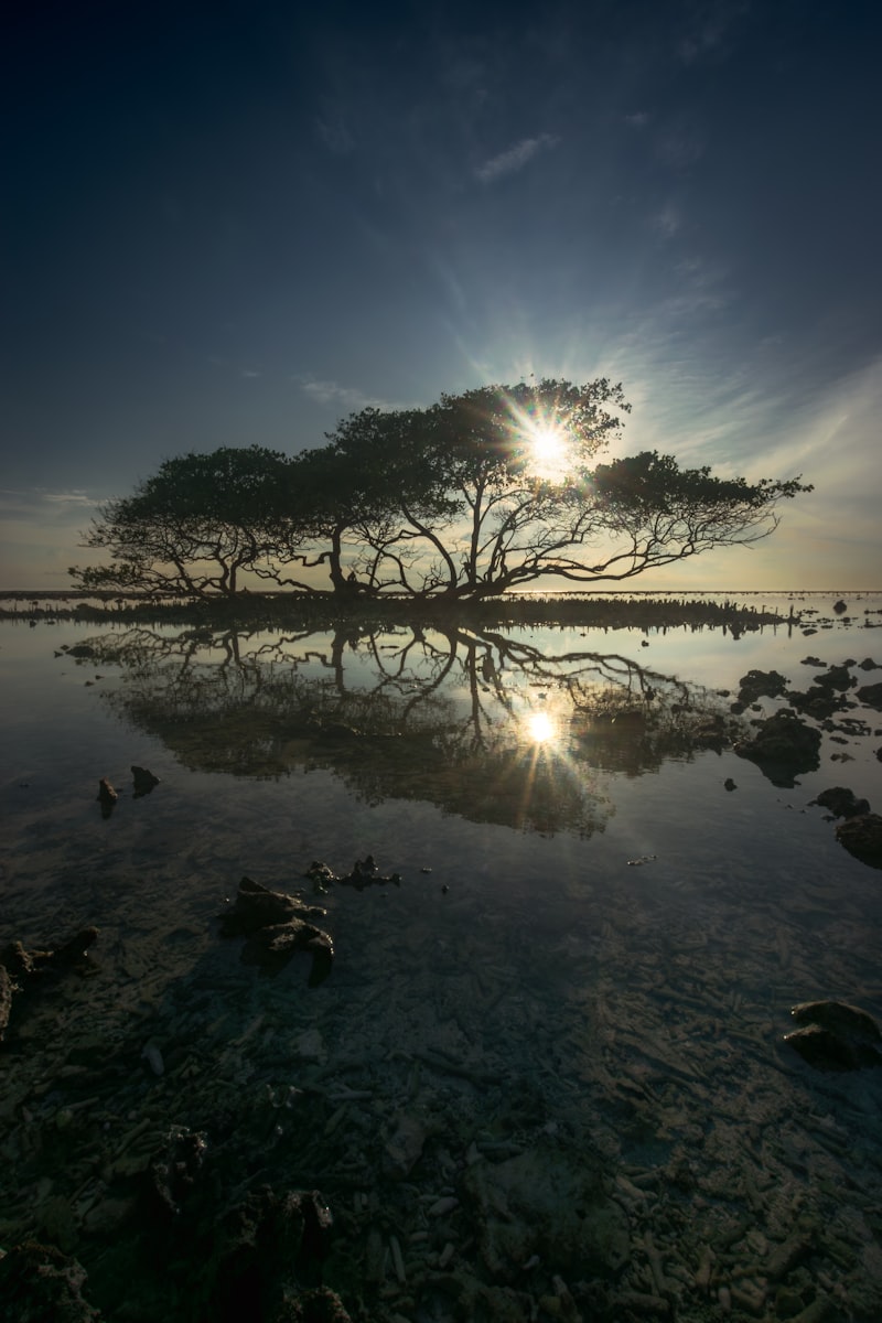 Lombok