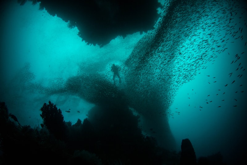 Raja Ampat